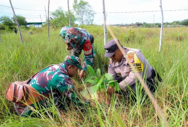 Perkuat Ketahanan Lingkungan, Kodim 0907/Tarakan Tanam Ratusan Bibit Pohon