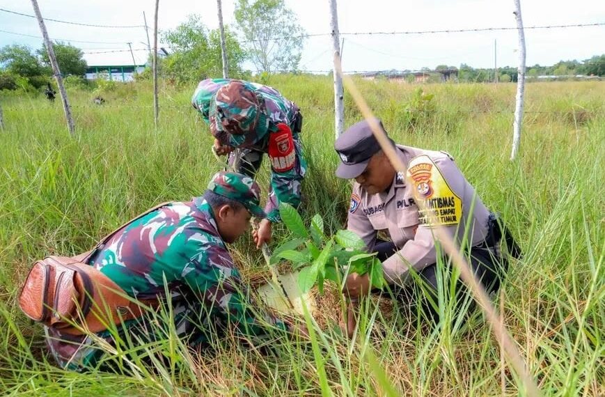 Perkuat Ketahanan Lingkungan, Kodim 0907/Tarakan Tanam Ratusan Bibit Pohon