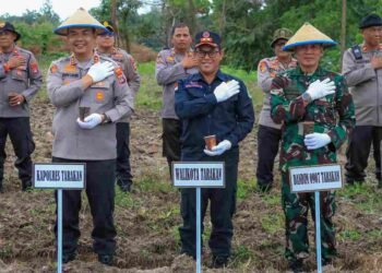 Hadiri Tanam Jagung Serentak, Dandim 0907/Tarakan Kokohkan Sinergi TNI-Polri dan Pemerintah