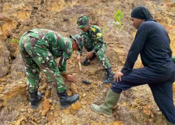 Penghijauan di Medan Sulit, Yon TP 880/Banuanta Tanam Pohon di Jelarai