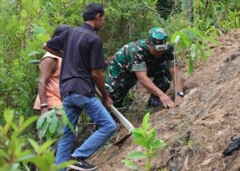 Dukung Pelestarian Lingkungan,Kodim 0907/Trk Ajak Masyarakat Tanam Ratusan Pohon