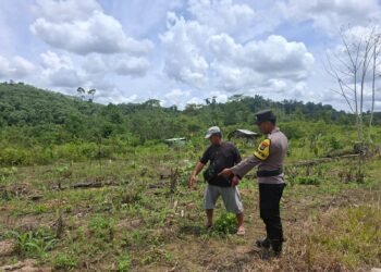 Bhabinkamtibmas Polsek Tanjung Palas Barat Dampingi Petani Long Sam Jaya Tanam Jagung di Lahan 0,5 Hektare