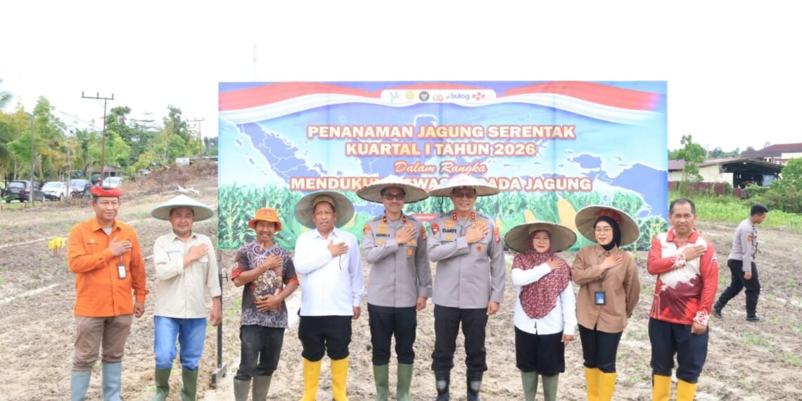 Sinergi Polda Kaltara dan Forkopimda: Tanam Jagung Serentak di Bumi Rahayu Demi Swasembada Pangan 2026