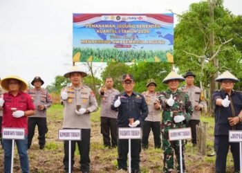 Forkopimda Tarakan Turun ke Lahan, Tanam Jagung Bersama Petani