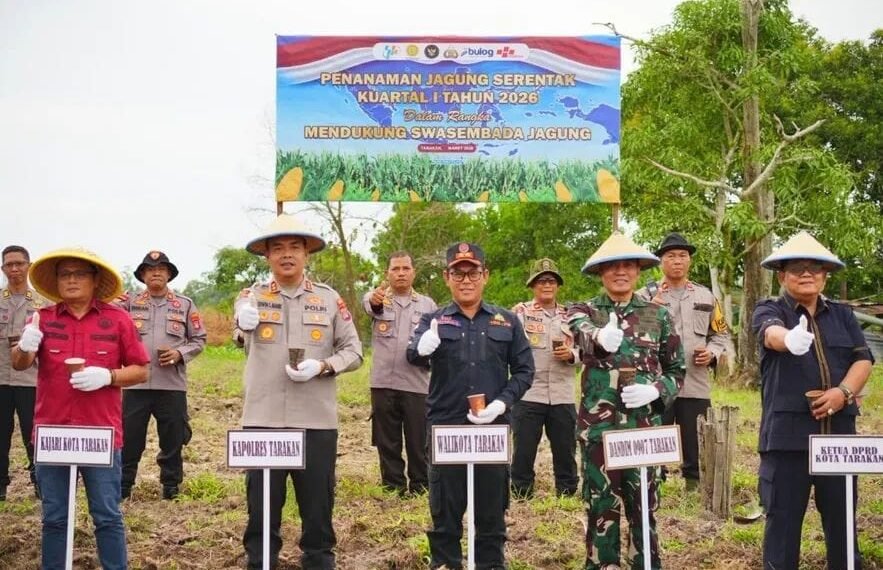 Forkopimda Tarakan Turun ke Lahan, Tanam Jagung Bersama Petani