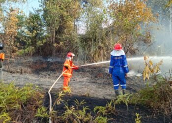 Cuaca Kering Picu Karhutla di Sejumlah Wilayah Tarakan