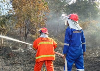 Akses Sulit dan Minim Sumber Air, Kendala Pemadaman Karhutla 