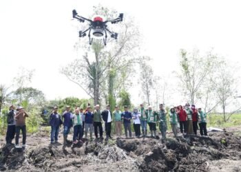 Penanaman Padi di Juata Laut Manfaatkan Teknologi Drone
