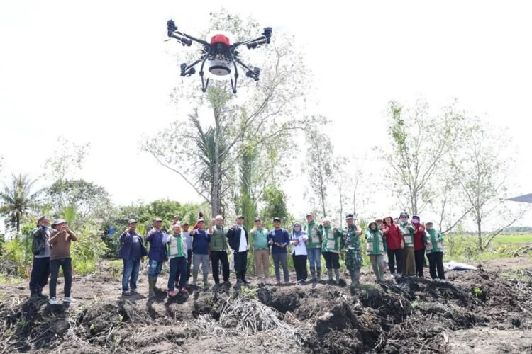 Penanaman Padi di Juata Laut Manfaatkan Teknologi Drone
