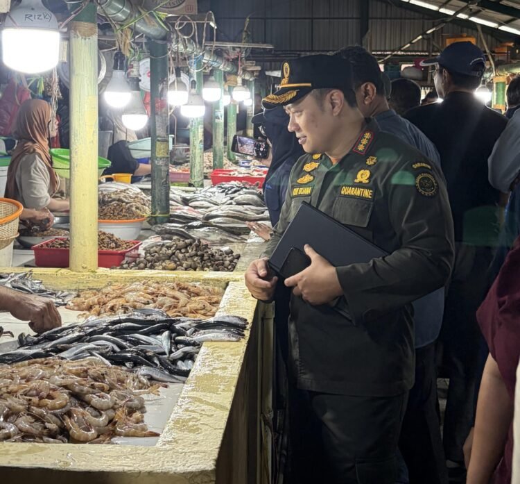 Ketersediaan Ikan di Tarakan Stabil, Harga Masih Normal