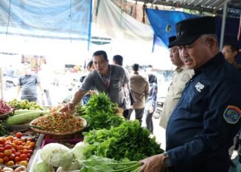 Harga Cabai Melonjak, Wali Kota Tarakan Turun Tangan Cek Stok Pasar