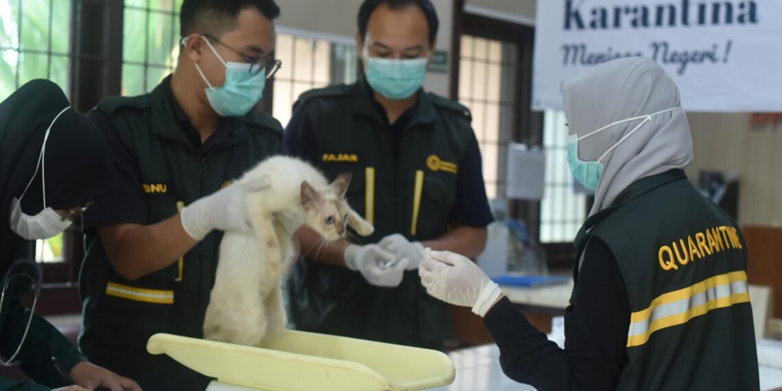 Bawa Hewan Saat Mudik, Wajib Lapor Karantina