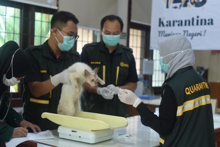 Bawa Hewan Saat Mudik, Wajib Lapor Karantina