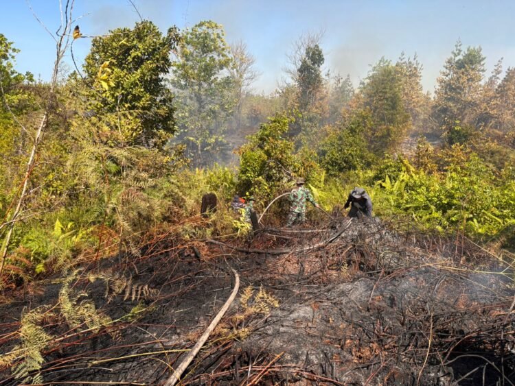Dampak Karhutla Pantai Amal, Pondok Warga Ludes dan Jaringan Listrik Sempat Terputus
