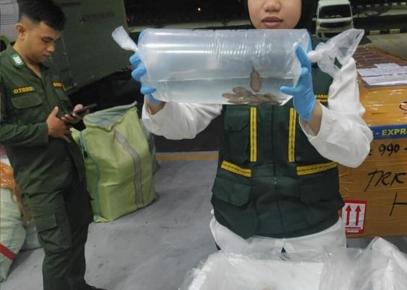 Komoditas Perikanan Dominasi Pengiriman Keluar Kaltara