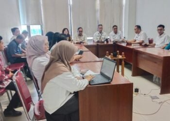 Atasi Pakan Mahal, Pemprov Kaltara Koordinasi Penyaluran Jagung Subsidi