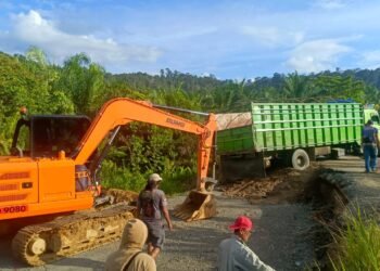 Jalan Trans Kaltara Ambruk Diterjang Longsor, Akses Trans Kaltara Sempat Terputus