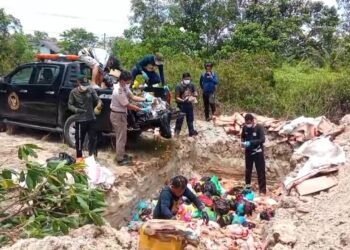 Karantina Kaltara Musnahkan 1,7 Ton Media Pembawa Ilegal di Tarakan, Mayoritas dari Malaysia