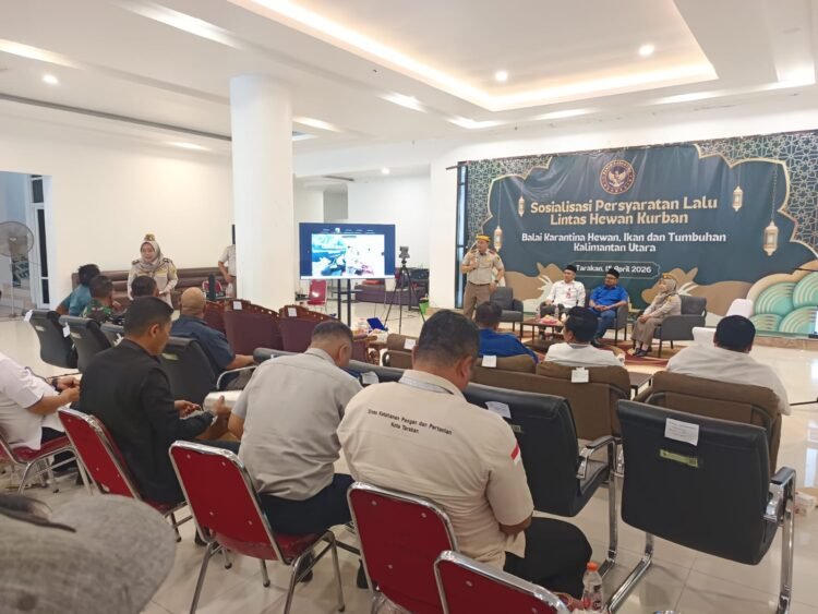 Peternak Keluhkan Harga Sapi dan Pengawasan, Karantina Tegaskan Sistem Sesuai Aturan