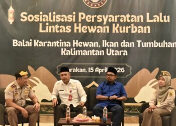 DPRD Minta Penyesuaian Kuota Sapi Masuk Sesuai Kebutuhan Tarakan   