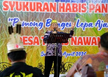 Panen Raya Teras Nawang, Bukti Ketahanan Pangan Kaltara