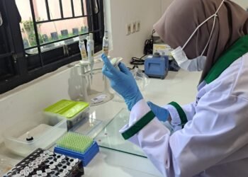 Uji Sampel Sapi di Tarakan Negatif, Aman Jelang Idul Adha