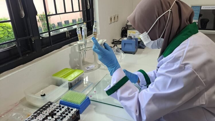 Uji Sampel Sapi di Tarakan Negatif, Aman Jelang Idul Adha