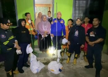 Anak Digigit Anjing di Tarakan, Korban Jalani Penanganan Medis Pencegahan Zoonosis