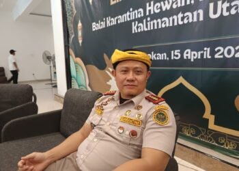 Over Supply Mengintai, Peternak Lokal Terancam
