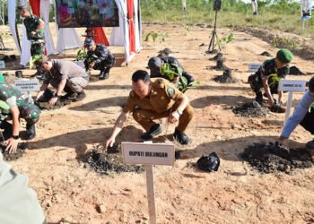 Penanaman Pohon di Bulungan Tekankan Perawatan Berkelanjutan