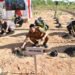 Penanaman Pohon di Bulungan Tekankan Perawatan Berkelanjutan