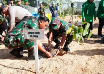 TNI Hijaukan 6 Hektare Lahan Eks Tambang di Tengkapak