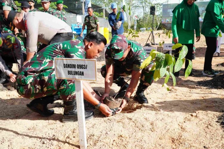 TNI Hijaukan 6 Hektare Lahan Eks Tambang di Tengkapak