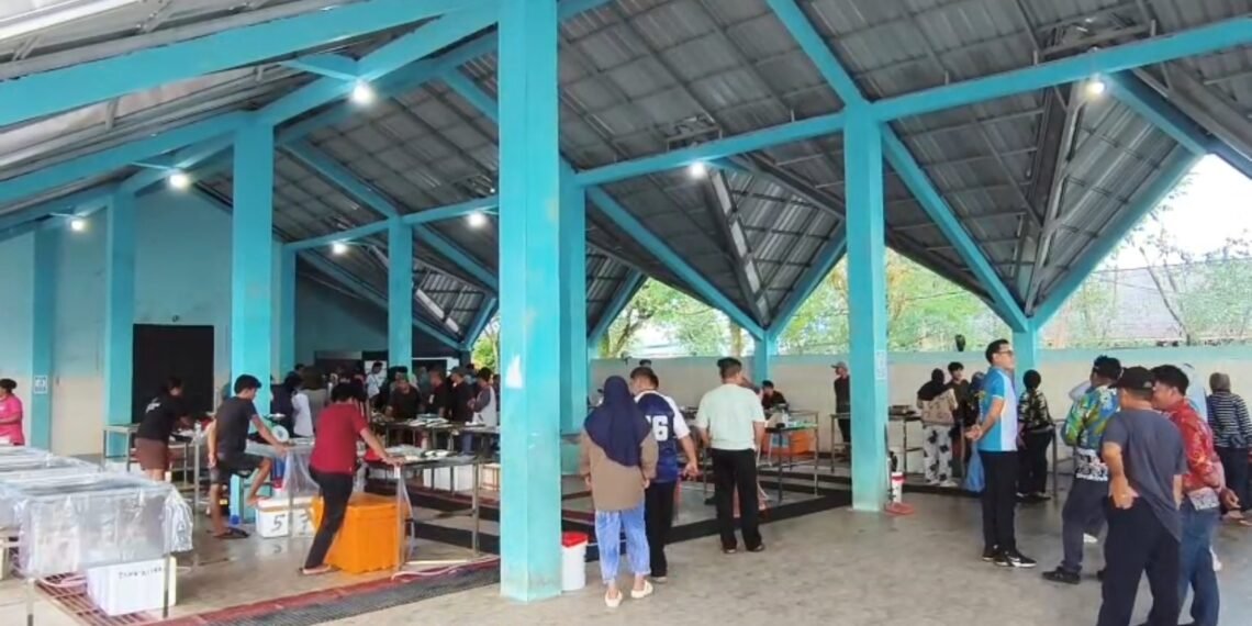 DKP Kaltara Tegaskan Distribusi Ikan ke Luar Daerah Tak Ganggu Pasokan Lokal