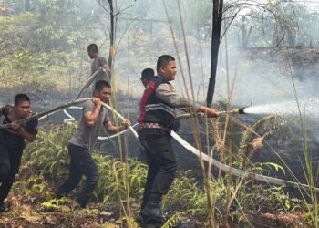 Gerak Cepat, Dit Samapta dan Satbrimob Polda Kaltara Jinakkan Karhutla di Jl. Poros Tanjung Selor KM 4