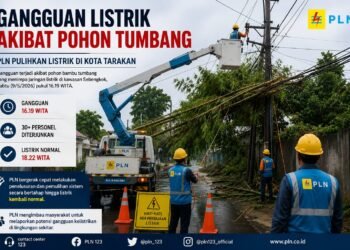 Pohon Bambu Timpa Jaringan, Listrik Tarakan Padam Dua Jam