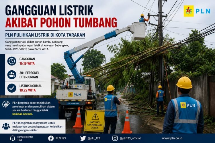 Pohon Bambu Timpa Jaringan, Listrik Tarakan Padam Dua Jam