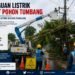 Pohon Bambu Timpa Jaringan, Listrik Tarakan Padam Dua Jam
