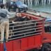 Puluhan Pelabuhan Tak Resmi, Pemasukan Ternak Rawan Pelanggaran
