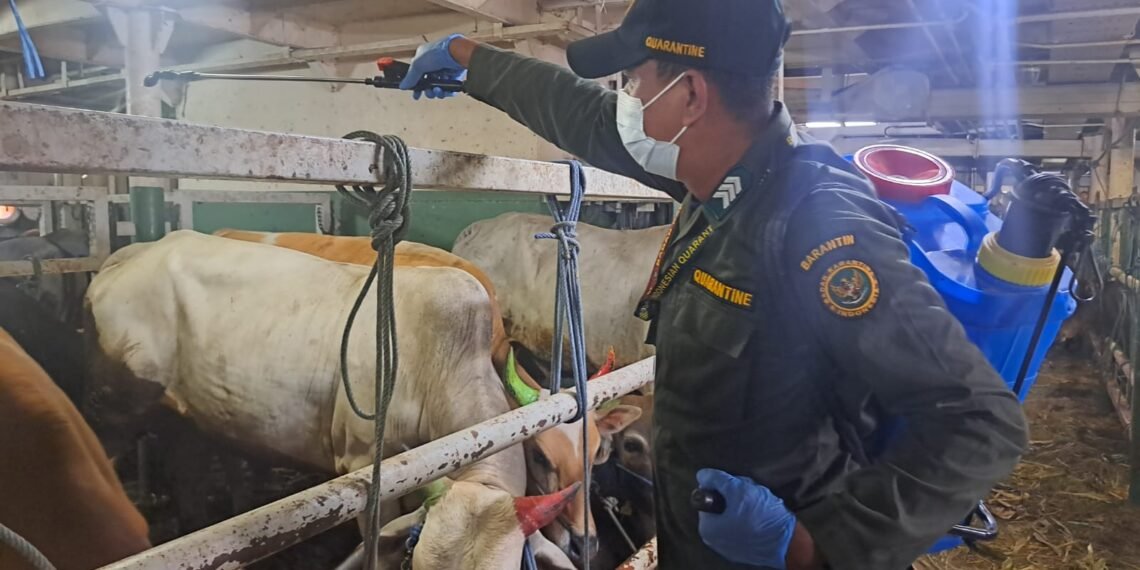 Antisipasi Penyakit Hewan, Karantina Kaltara Bentuk Satgas Pengawasan Kurban