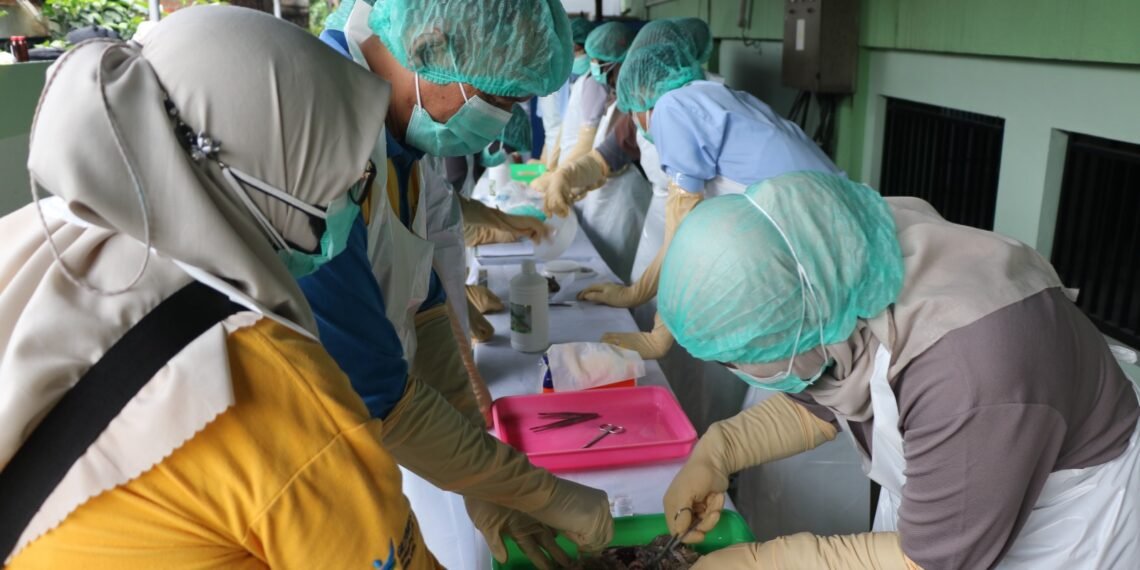 Leptospirosis Masih Muncul di Tarakan, Dinkes Imbau Warga Segera Periksa Dini
