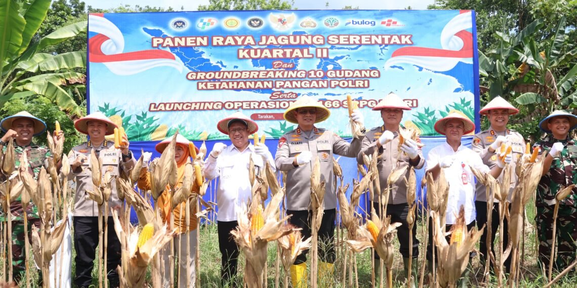 Wujudkan Swasembada, Kapolda Kaltara Pimpin Panen Raya Jagung Serentak di Tarakan