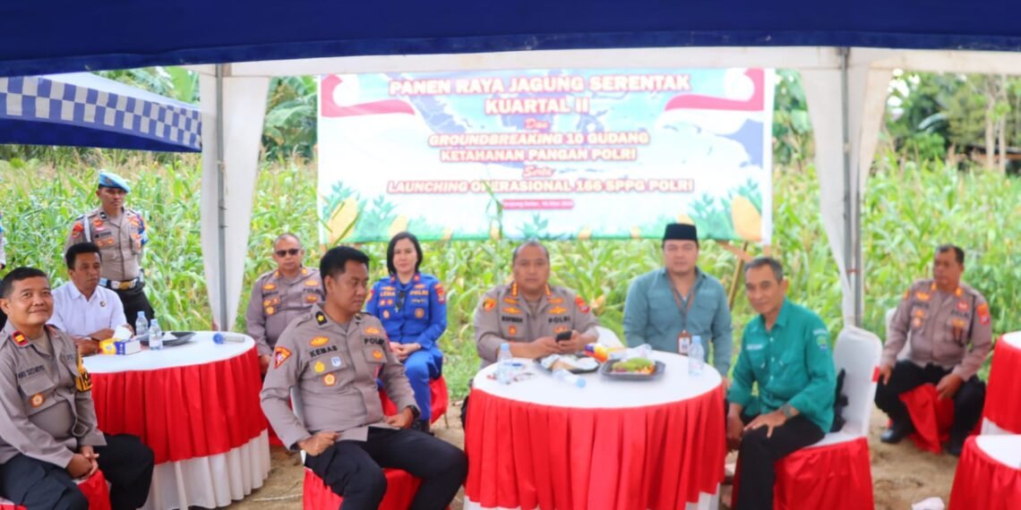 Polresta Bulungan Dukung Ketahanan Pangan, Panen Raya Jagung Kuartal II Digelar di Tanjung Palas