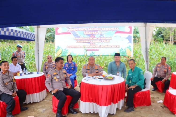 Polresta Bulungan Dukung Ketahanan Pangan, Panen Raya Jagung Kuartal II Digelar di Tanjung Palas