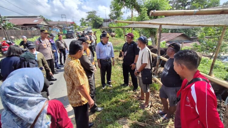 TPID Tarakan Sidak Hewan Kurban, Pastikan Bebas PMK dan Layak Konsumsi