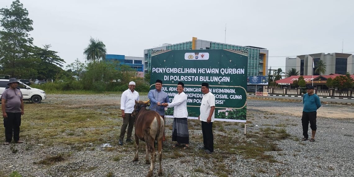 Idul Adha 1447 H, Polresta Bulungan Salurkan Semangat Berbagi Lewat 5 Ekor Sapi Kurban