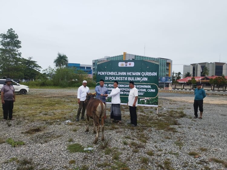Idul Adha 1447 H, Polresta Bulungan Salurkan Semangat Berbagi Lewat 5 Ekor Sapi Kurban