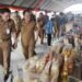 Wabup Kilat Buka Pameran Produk Unggulan Desa di Bulungan
