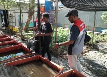 Pertamina Patra Niaga Regional Kalimantan Raih Pengakuan Global melalui Program Pemberdayaan Masyarakat dan Keberlanjutan Lingkungan