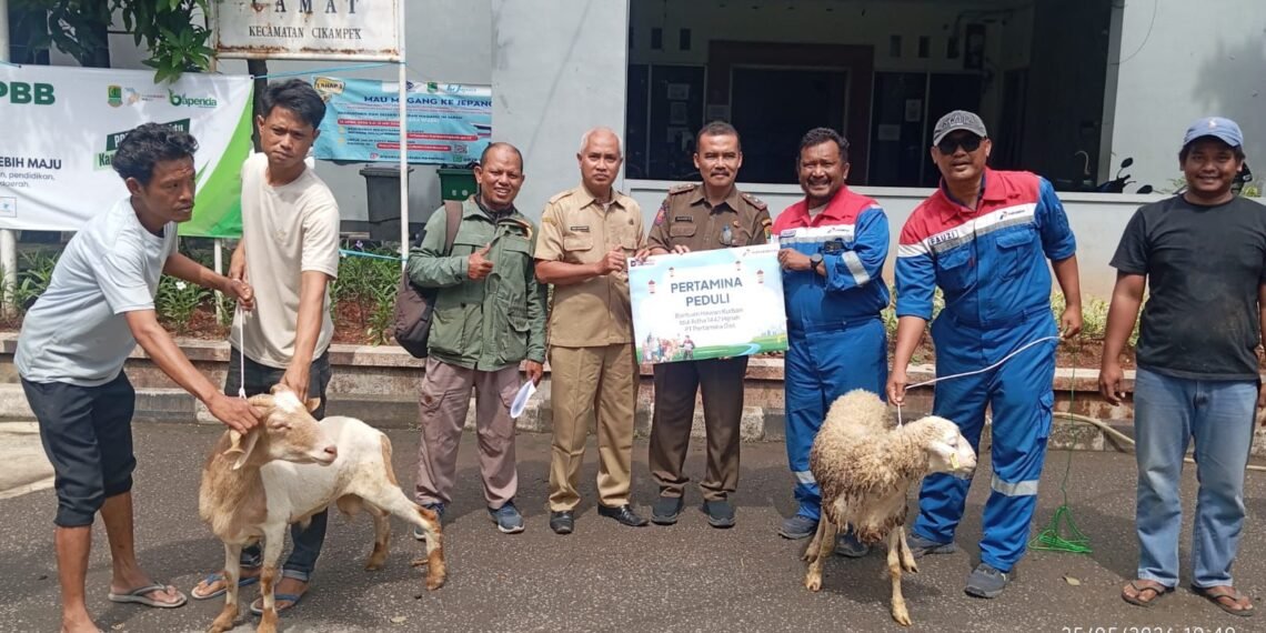 Rayakan Iduladha, Pertagas Salurkan 475 Hewan Kurban ke 300 Titik di Wilayah Operasi Perusahaan
